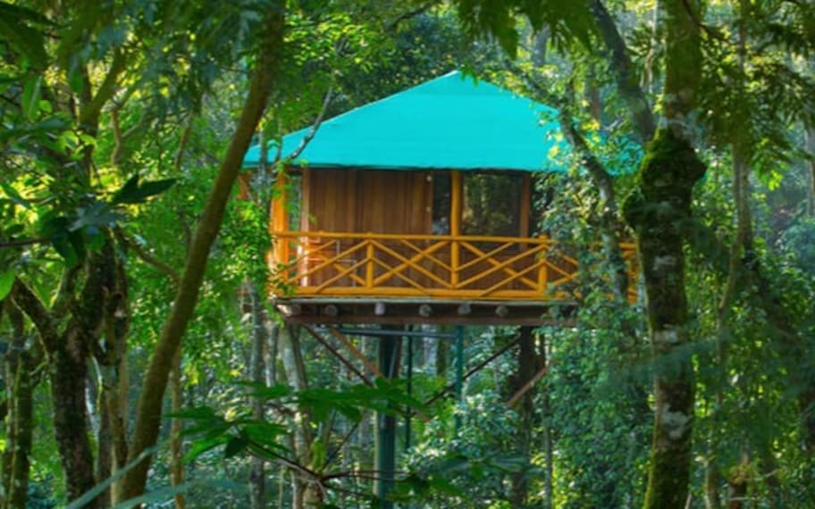 Munnar Dream Catcher Plantation Resort Landscape Image